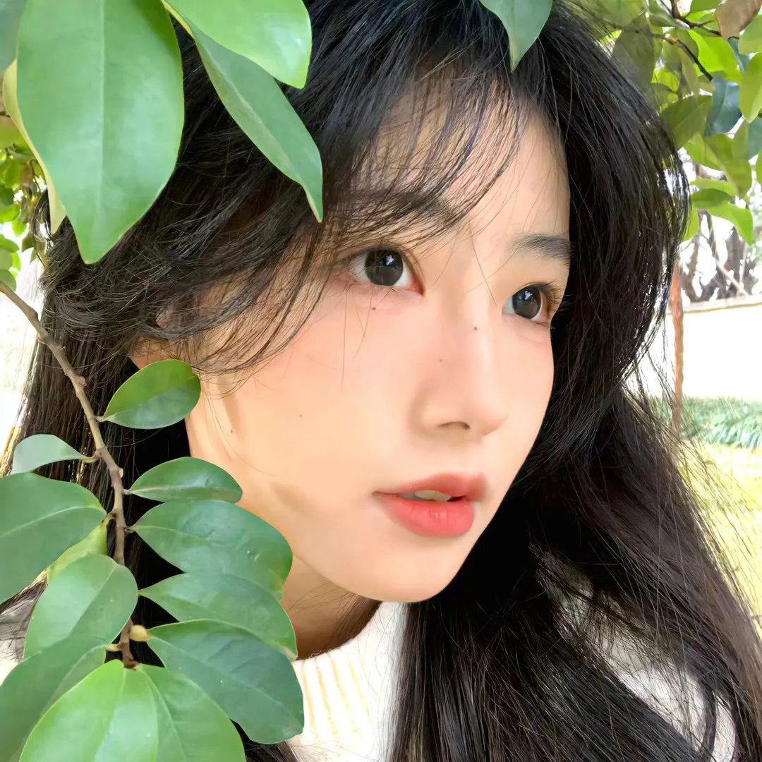 力与美之路